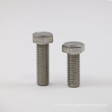 Stainless Steel 304/316 Hex Head Cap Bolt